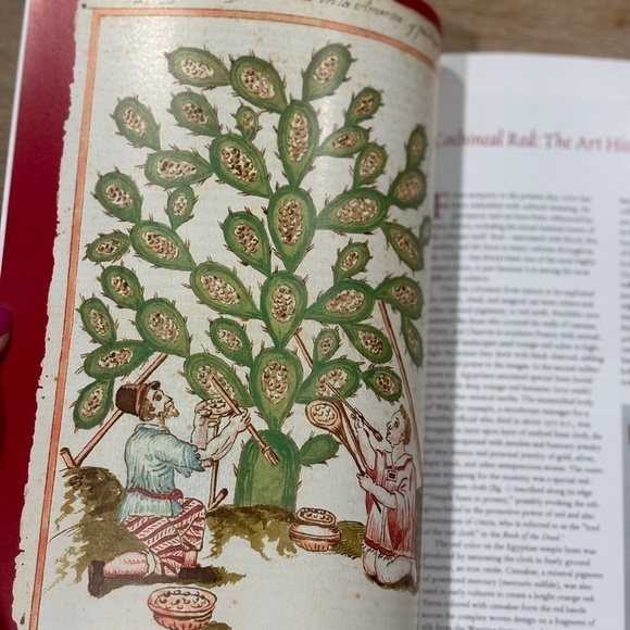 Red Color Resource Book Collection, Set of 4 Collectible Books on the Color Red - Picture 7 of 16